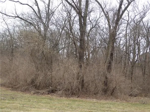 3408 S Saddle Ridge Dr, Independence, MO 64057