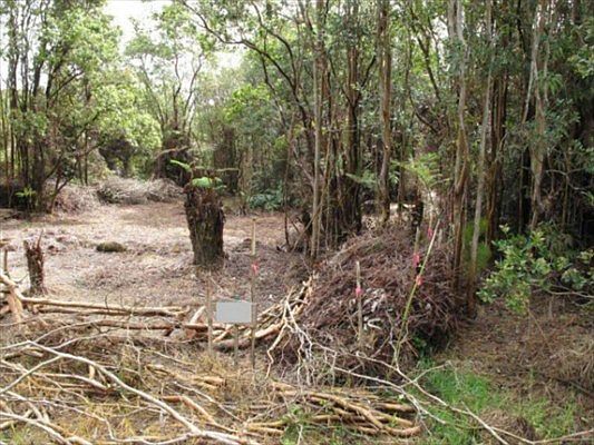 3rd image of Road 6 Lot 346