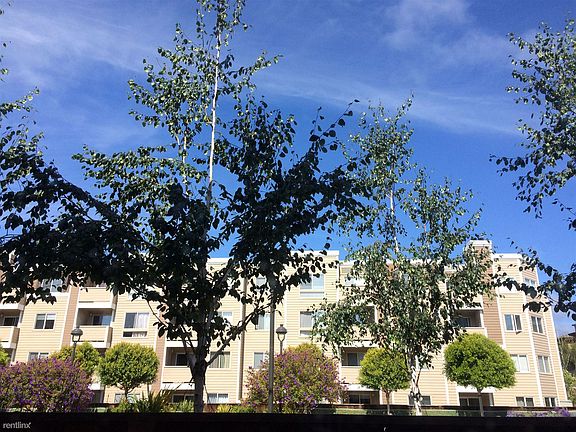 View from living room