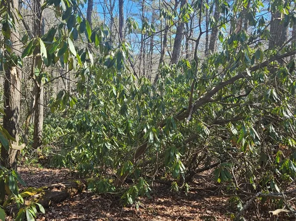 5 Ruffed Grouse Road, Cashiers, NC 28717