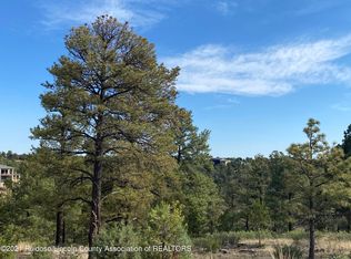 L12d Walter Hagan Dr, Alto, NM 88312