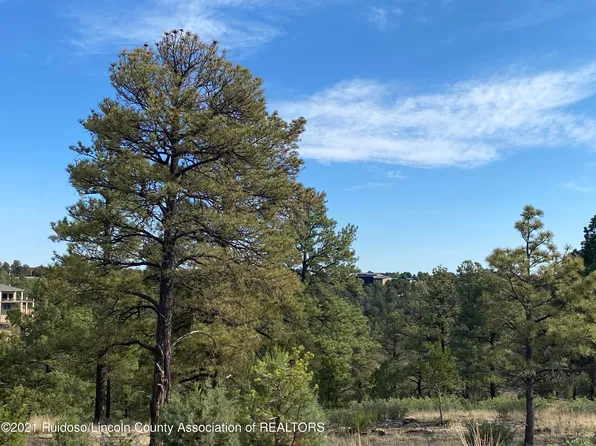 L35d Walter Hagan Dr, Alto, NM 88312