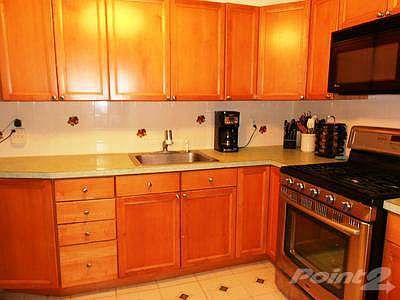 Updated Kitchen