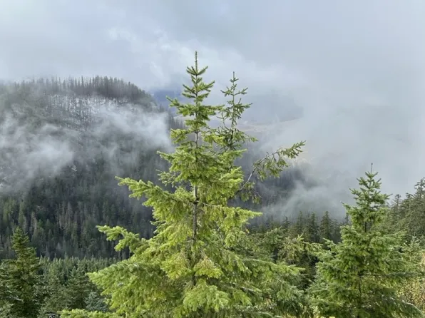 0 Calapooia Rd, Sweet Home, OR 97386