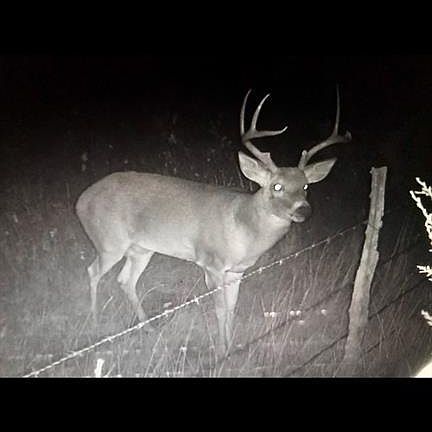 2nd image of 0 N 1720th Rd