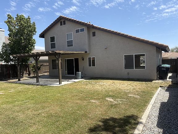 main back yard