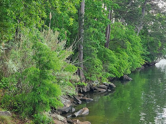 3rd image of 125 Cardinal Point