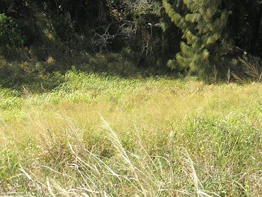 1st image of Kapua Pl Lot 3