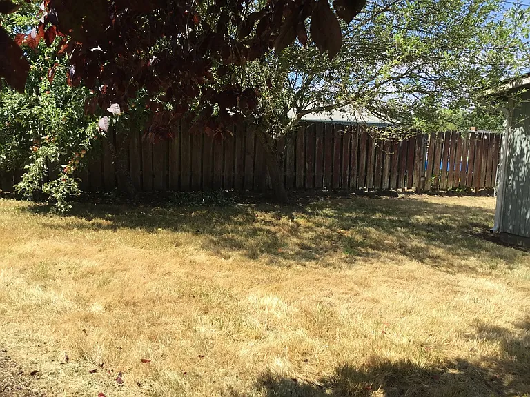 334 Foxglove Ave — Photo 22