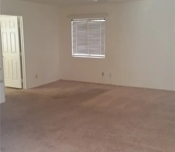 1513 War Paint Dr — Photo 29