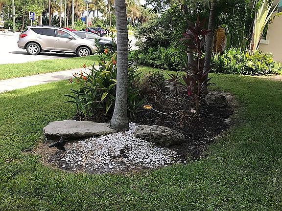 Front Lawn