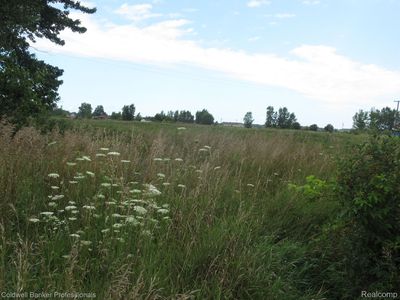 0 Turner Rd, Yale, MI, 48097