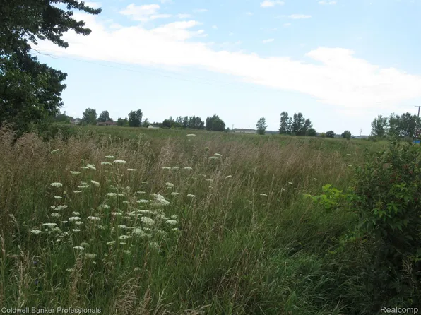 0 Turner Rd, Yale, MI 48097