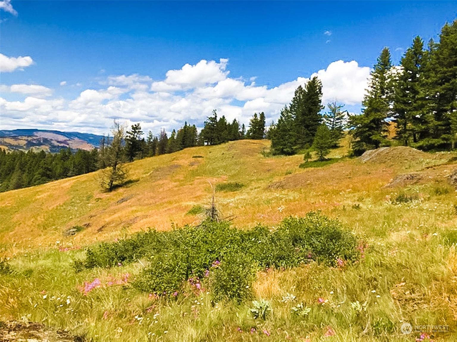 0 Lot29 Curlew Rim Ranches, Republic, WA 99166 MLS 2051933 Zillow