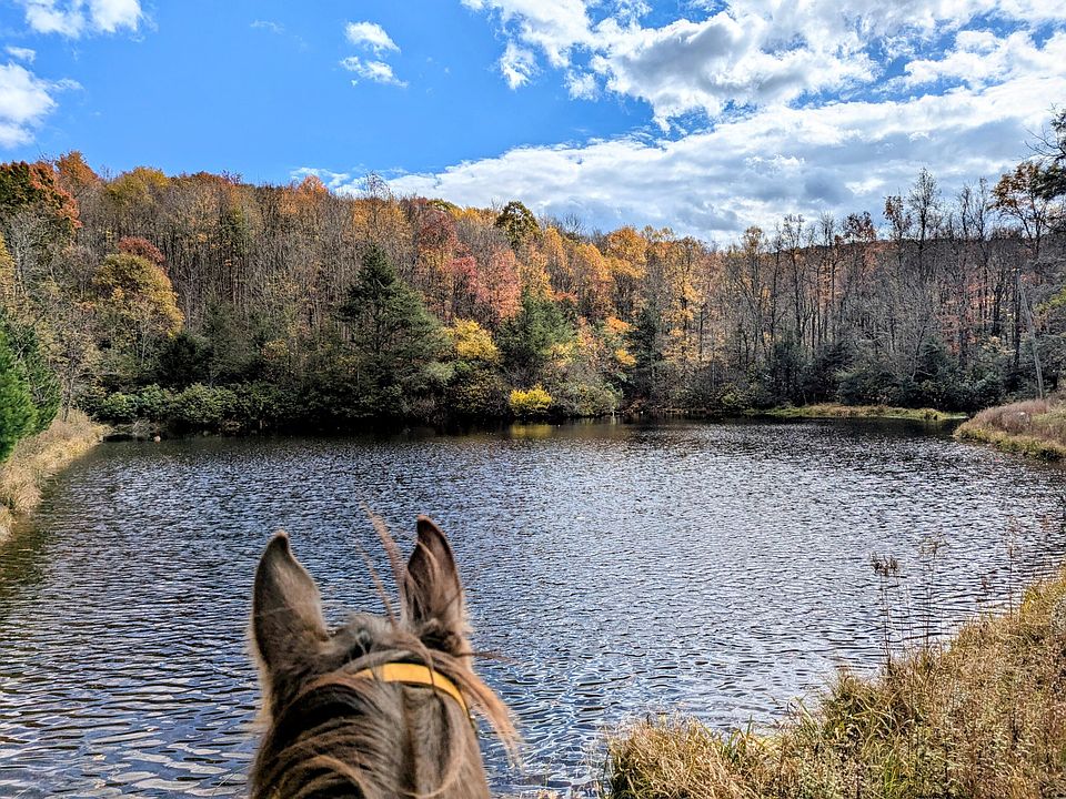 37th image of this home