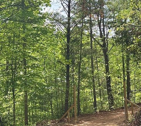 4th image of 0 Tyler Ln Lot 17