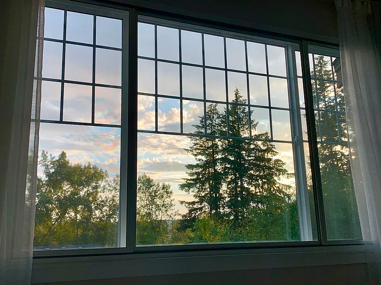 Primary suite view from bed - trees, sky and a serene open view