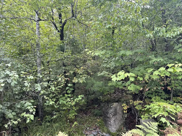 Lot 16 Winkumpaugh Road, Ellsworth, ME 04605