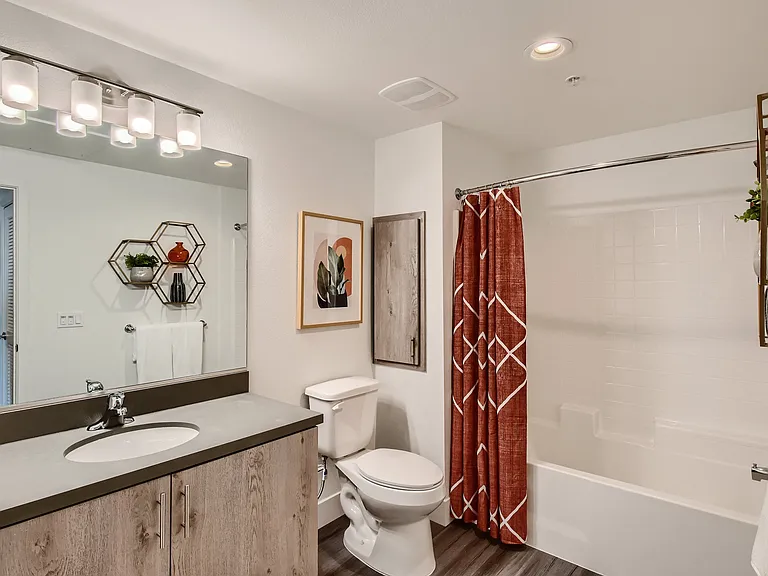 Vive Luxe, San Diego, CA, Bathroom