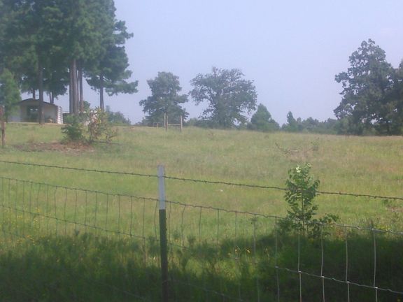 Pasture on east side of driveway