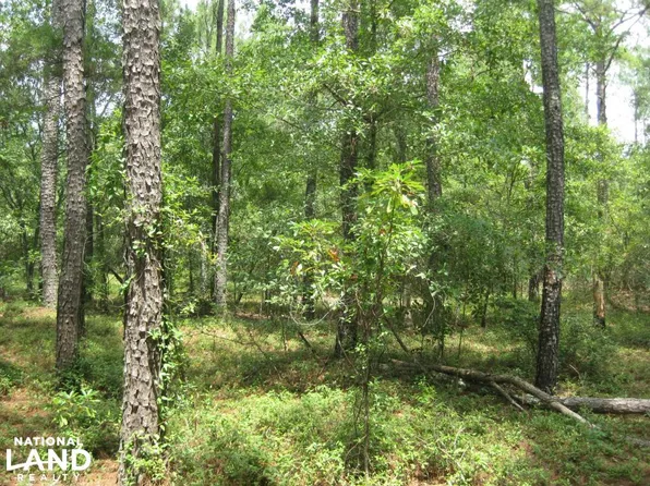 0 Calks Ferry Rd, Pelion, SC 29123