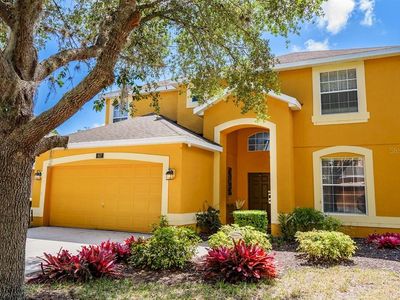 917 Orange Cosmos Blvd, Davenport, FL, 33837