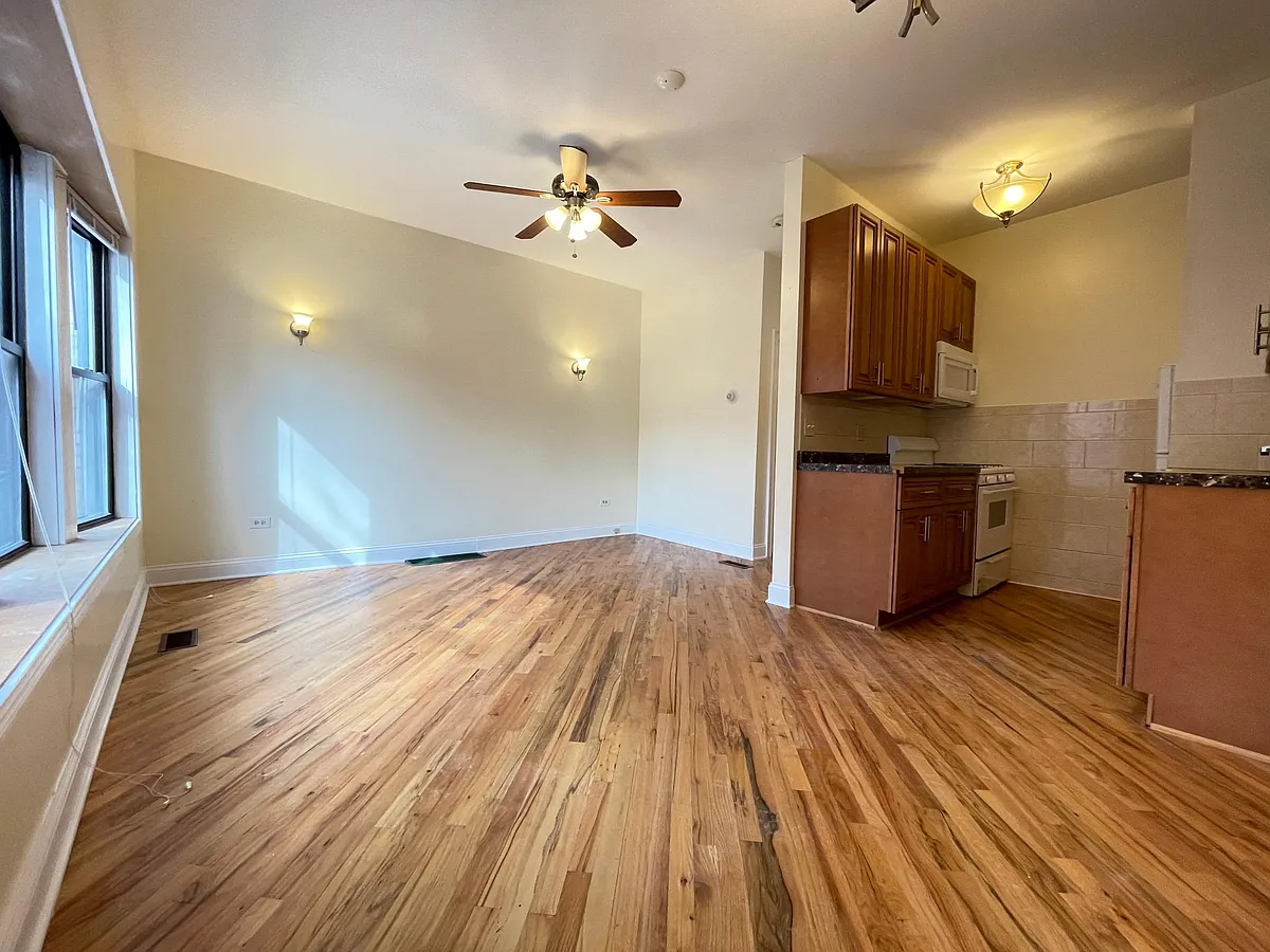 Living Room / Kitchen - 934 W Windsor Ave
