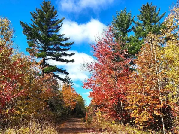 Co Road Eeb Pohlman Rd, Gwinn, MI 49841