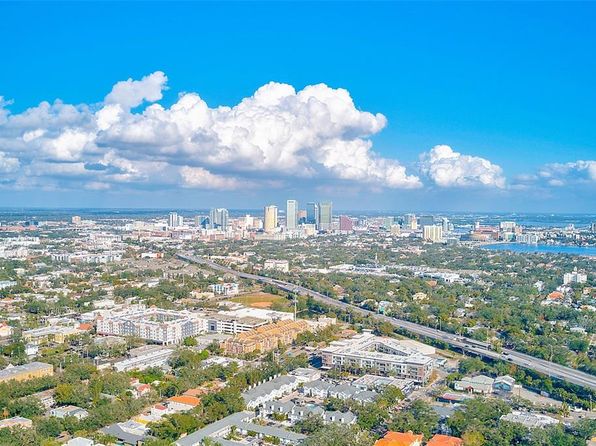 tampa-florida-82041754 picture