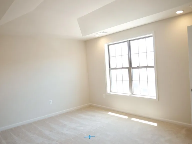 Master Bedroom with vaulted ceiling