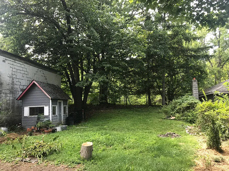 Shared backyard