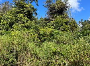 Holana St LOT 156, Mountain View, HI 96771