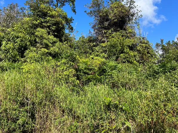 Holana St Lot 156, Mountain View, HI 96771