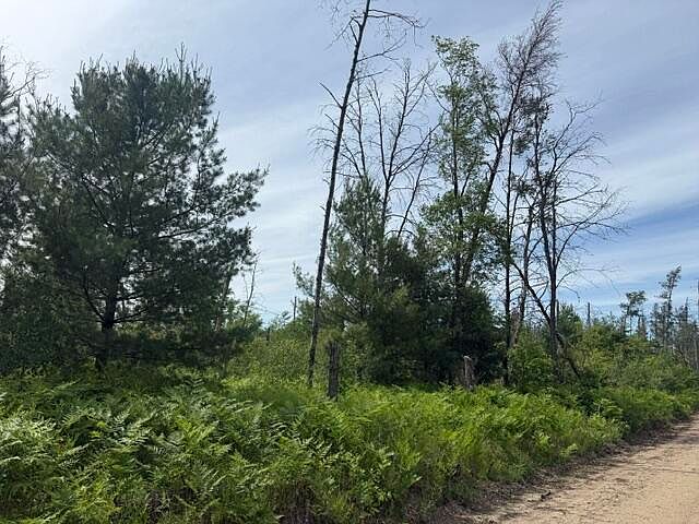 1st image of PARCEL 2 S Nelson Rd