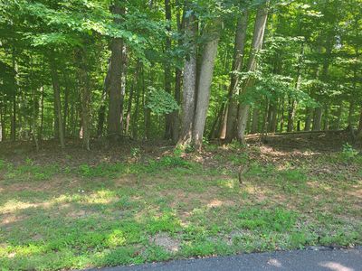 LOT 74 Land Harbor Ln, Moneta, VA, 24121