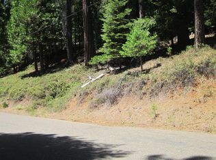 5253 Golden Aspen Dr, Grizzly Flats, CA