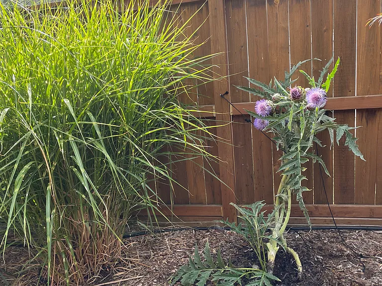 6935 SE Cora St — Photo 36