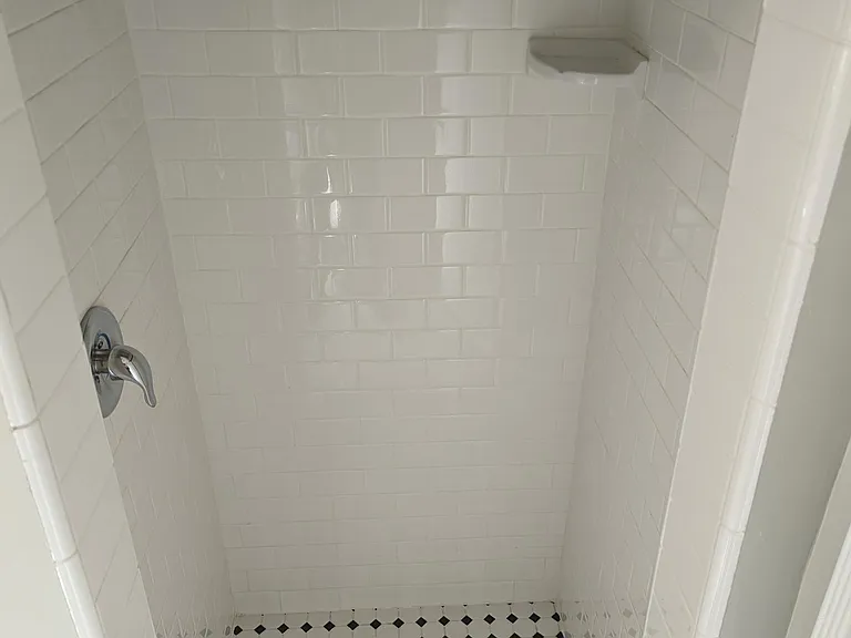 Guest bath shower