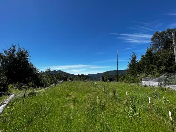 8888 Wilder Ridge Rd, Honeydew, CA 95545