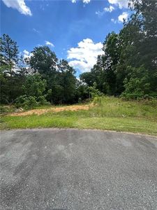 0 Treetop Ct, Snow Camp, NC, 27349