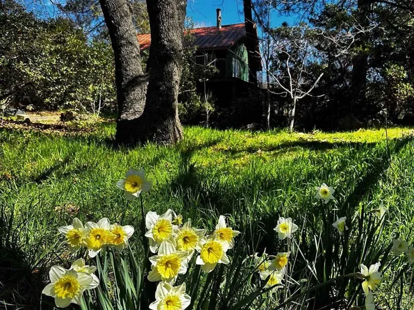 721 Pine Cone Dr, Julian, CA 92036