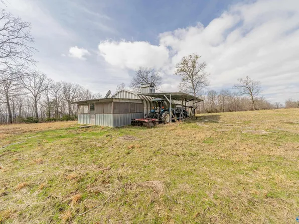 265 Acres Off Mountain Fork Rd, New Market, AL 35761