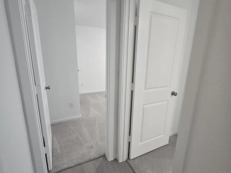 3164 Burmese St — Photo 27