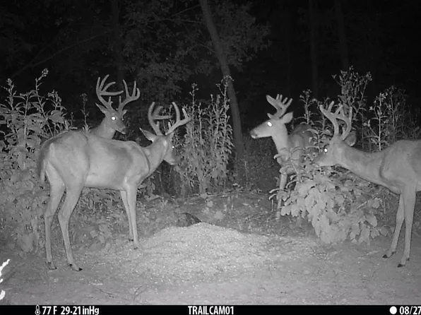 0 Silver City Huntsville Rd, Morgantown, KY 42261
