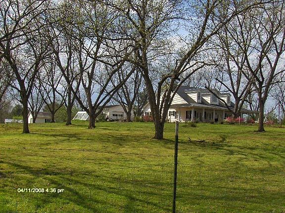 Pecan groves as approaching home