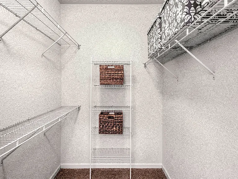 Expansive walk-in closets with shelves