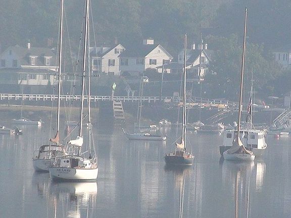 peaceful morning view