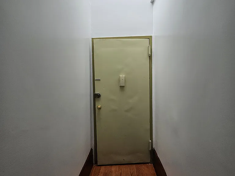 244 Vanderbilt Ave #3 — Photo 9