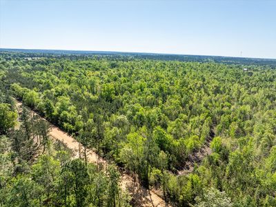 0 WHITAKER Road, Dearing, GA, 30808