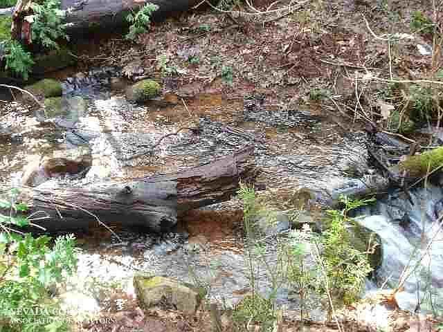 1st image of 12587 Madrone Forest Dr